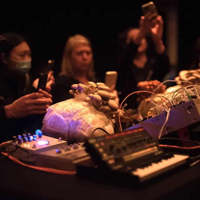 Mushroom Radio cover